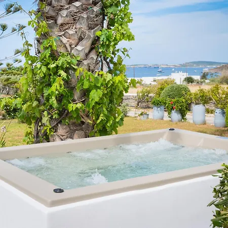 Navi A2 Brand New In Naousa (Paros)