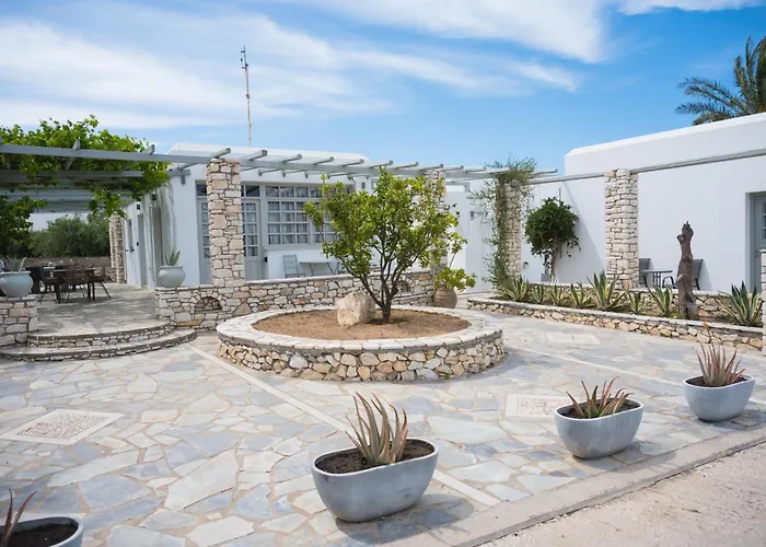 Navi A2 Brand New In * Naousa