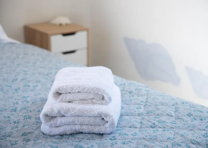 Apartment Navi A2 Brand New In